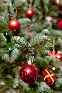 Sapin vertical