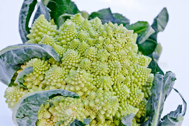 Chou romanesco