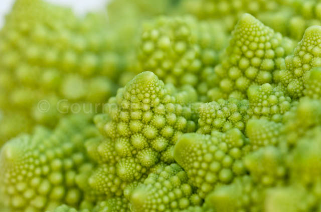 Chou Romanesco Gros Plan