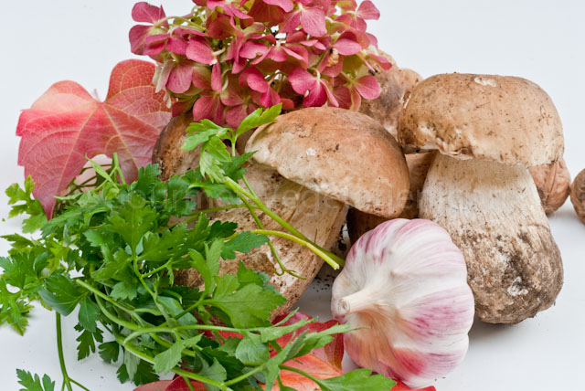 Bouquet Cèpes