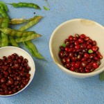 Graines d'ambrevade - photo Sekundo