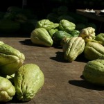 chouchous - photo Yozine