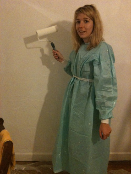 repeindre 500x666 Le Front National renommé Rassemblement bleu Marine