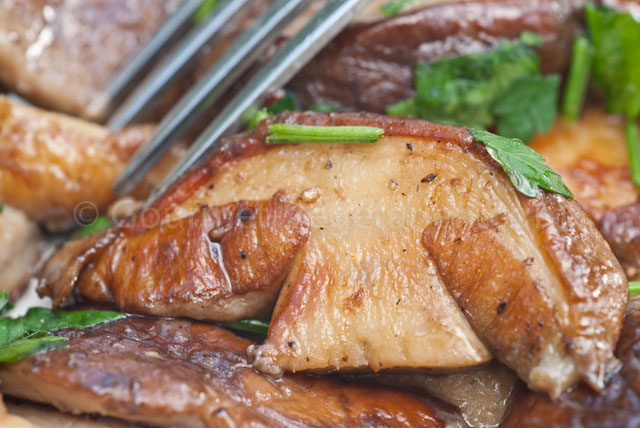 Cèpes servis GP Cèpes servis GP