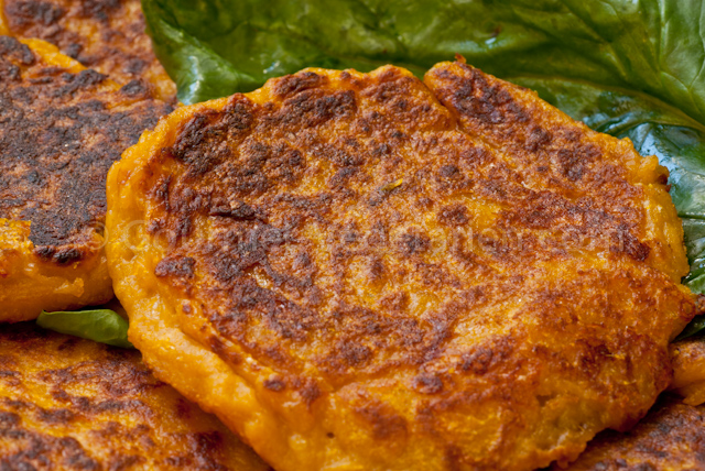 Galette Citrouille Gros Plan Galette Citrouille Gros Plan