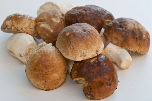 Têtes queues séparées Têtes queues séparées